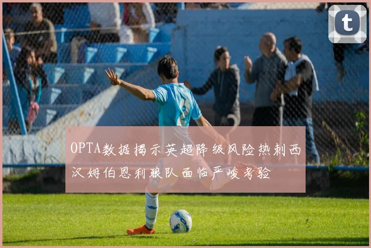 OPTA数据揭示英超降级风险热刺西汉姆伯恩利狼队面临严峻考验