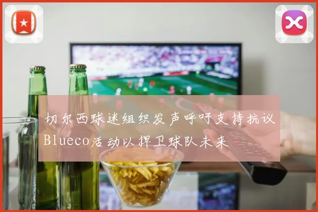 切尔西球迷组织发声呼吁支持抗议Blueco活动以捍卫球队未来